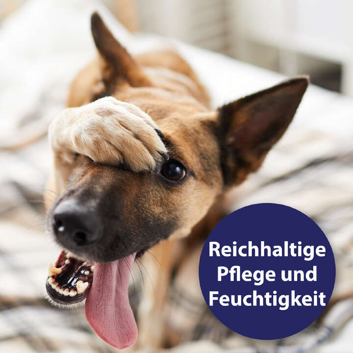 Canosept Pfotenpflege für Hunde 75 g